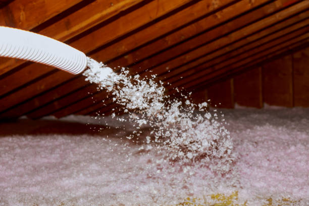 Best Insulation Maintenance and Repair in Great Falls Crossing, VA