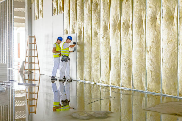 Best Energy Efficiency Solutions in Great Falls Crossing, VA